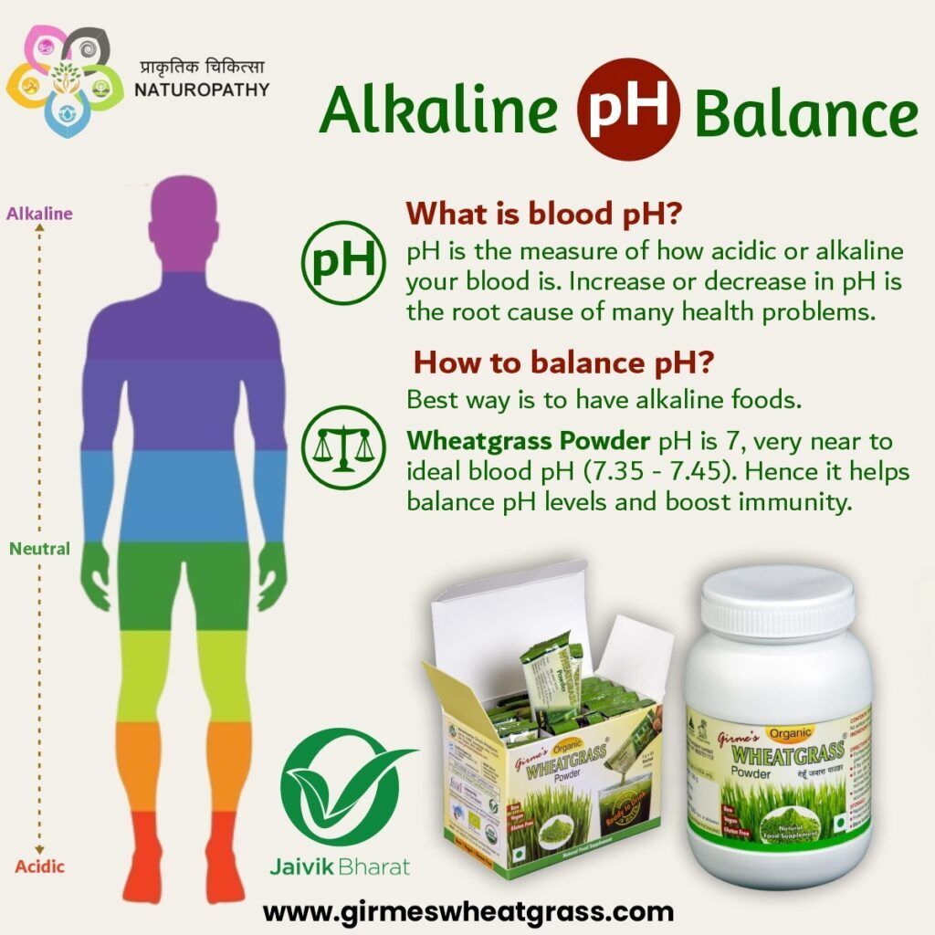 Benefits of Wheatgrass Powder